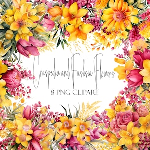 Craspedia und Fuchsia, Aquarell Blumen, PNG-Format, Sofort-Download, kommerzielle Nutzung, POD-Verwendung