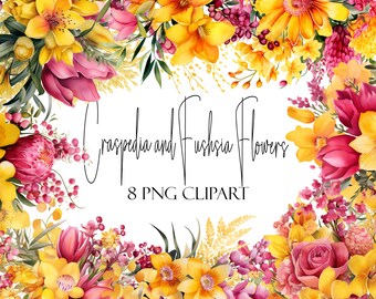 Pode incluir: Uma ilustração digital de um buquê de flores amarelas e rosas. As flores incluem craspedia, fuchsia e outras flores. O texto "Craspedia and Fuschia Flowers 8 PNG CLIPART" está escrito em preto sobre um fundo branco.