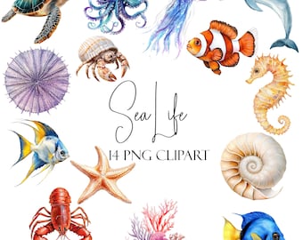 Watercolor Sea Life Clipart Bundle: Ocean Animals, Transparent PNGs (Commercial Use, POD)