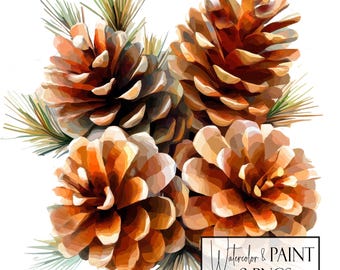 Pretty Pinecone Clipart Set, 8 Transparent PNGs, Commercial Use ,POD Friendly