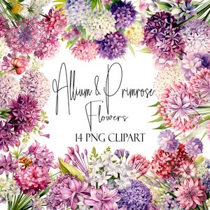 Allium and Primrose Clipart, Flower Elements, Instant Download, Pod Licensing, Watercolor Floral PNGS
