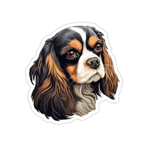 Cavalier King Charles Terrier