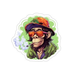 Silly Monkey