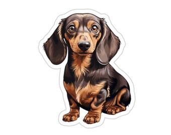 Dachshund 7