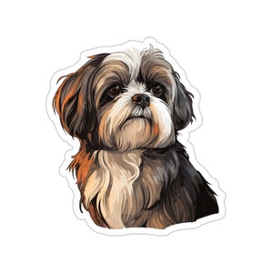 Shih Tzu 5
