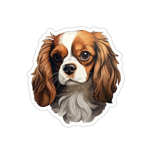 Cavalier King Charles Terrier