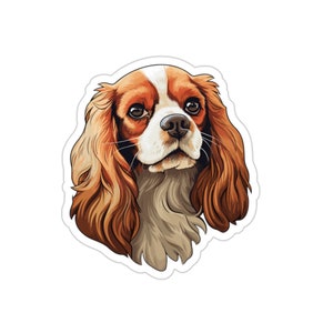 Cavalier King Charles Terrier