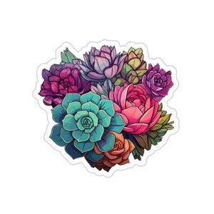 Plantes succulentes