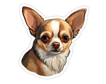 Chihuahua 3