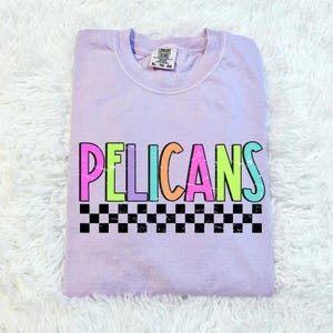Mascotte dei pellicani colorati, trasferimento DTF, pronto per la stampa, trasferimento su maglietta, trasferimento termico, trasferimento diretto su pellicola, vai pellicani