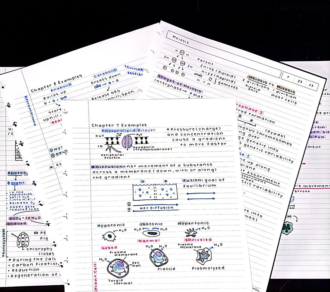 General Biology I Notes - Etsy