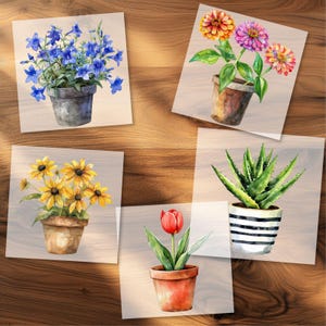 bügelbild
wasserfarbe bilder
dtf transfer folie
Tshirt bügelbild
bild zum aufbügeln
mädchen bügelbild
blume bügebild
blümchen bügelbild
blume in vase
topfblume transfer
minimalistisch blume
süße frühling blume
pflanze bügelbild