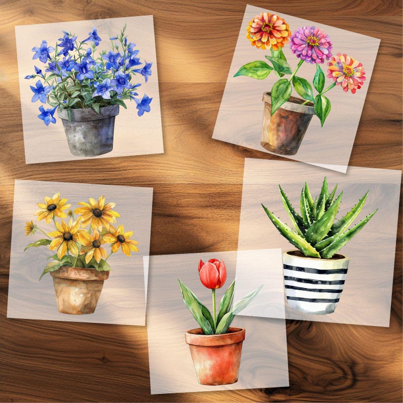 bügelbild
wasserfarbe bilder
dtf transfer folie
Tshirt bügelbild
bild zum aufbügeln
mädchen bügelbild
blume bügebild
blümchen bügelbild
blume in vase
topfblume transfer
minimalistisch blume
süße frühling blume
pflanze bügelbild