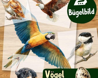 Vögel Bügelbilder, Wasserfarbe Vögelchen, Adler zum Aufbügeln