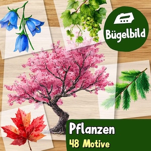 Könnte beinhalten: Eine Sammlung von Bügelbildern mit botanischen Illustrationen, darunter blaue Glockenblumen, eine grüne Weintraube, ein rosa Kirschblütenbaum, ein grüner Tannenzweig und ein rotes Ahornblatt mit dem Text Bügelbild, Pflanzen, 48 Motive.