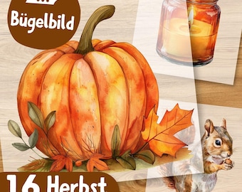 Herbst Bügelbilder, Wasserfarbe Kürbis Grafiken zum Aufbügeln Herbst Blatt, Eichhörnchen Süß Illustrationen für Kinder Tshirt Lesen