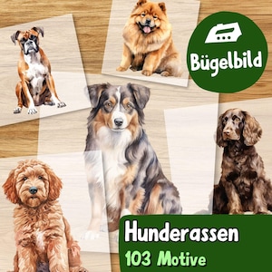 Może przedstawiać: Kolekcja naprasowanek z akwarelowymi ilustracjami pięciu różnych ras psów, w tym boksera, chow chow, owczarka australijskiego, spaniela i psa z kręconą sierścią, z napisem Bügelbild, Hunderassen, 103 Motive.
