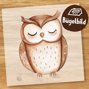 Niedliche Nacht-Eule Bügelbild, Süße Schlafende Eule Aquarell zum Aufbügeln, Schlafanzug Kinder Shirt, Baby Eule Bügeln Tier Schultüte Motiv