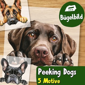 Pode incluir: Ilustrações em aquarela de três raças de cães: um pastor alemão, um labrador chocolate e um buldogue francês. Os cães são retratados espreitando por cima de uma superfície. A imagem inclui o texto "Peeking Dogs" e "5 Motive". Um círculo verde com "Bügelbild" está no canto superior direito.