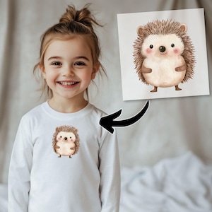 May include: A white long-sleeved shirt featuring a cute cartoon hedgehog design. The hedgehog is brown with a light brown tummy and has a friendly expression.