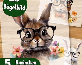 Süße Kaninchen Bügelbilder, Hase mit Brille Wasserfarbe, Kinder Tshirt Bügelmotiv, Schulhase Illustration, Hasen Clipart Aufbügler