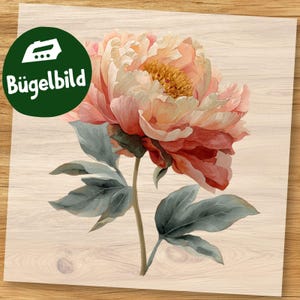 Pode incluir: Imagem em estilo aquarela de uma flor de peônia em tons de rosa, pêssego e amarelo, com folhas e caule verde-acinzentado. A flor está em um fundo claro com grão de madeira. Um círculo verde com o texto "Bügelbild" está no canto superior esquerdo.