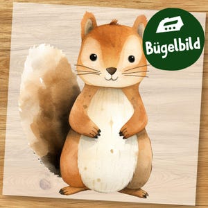 Niedliches Eichhörnchen Bügelbild, Waldtier Aquarell zum Aufbügeln, Schlafanzug Kinder Shirt, Baby Tier Motiv