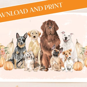 Cartes de voeux Chiens mignons, Cartes de voeux d'automne, Cartes de voeux pour Thanksgiving, Amoureux des chiens, Art canin, Joyeux Thanksgiving