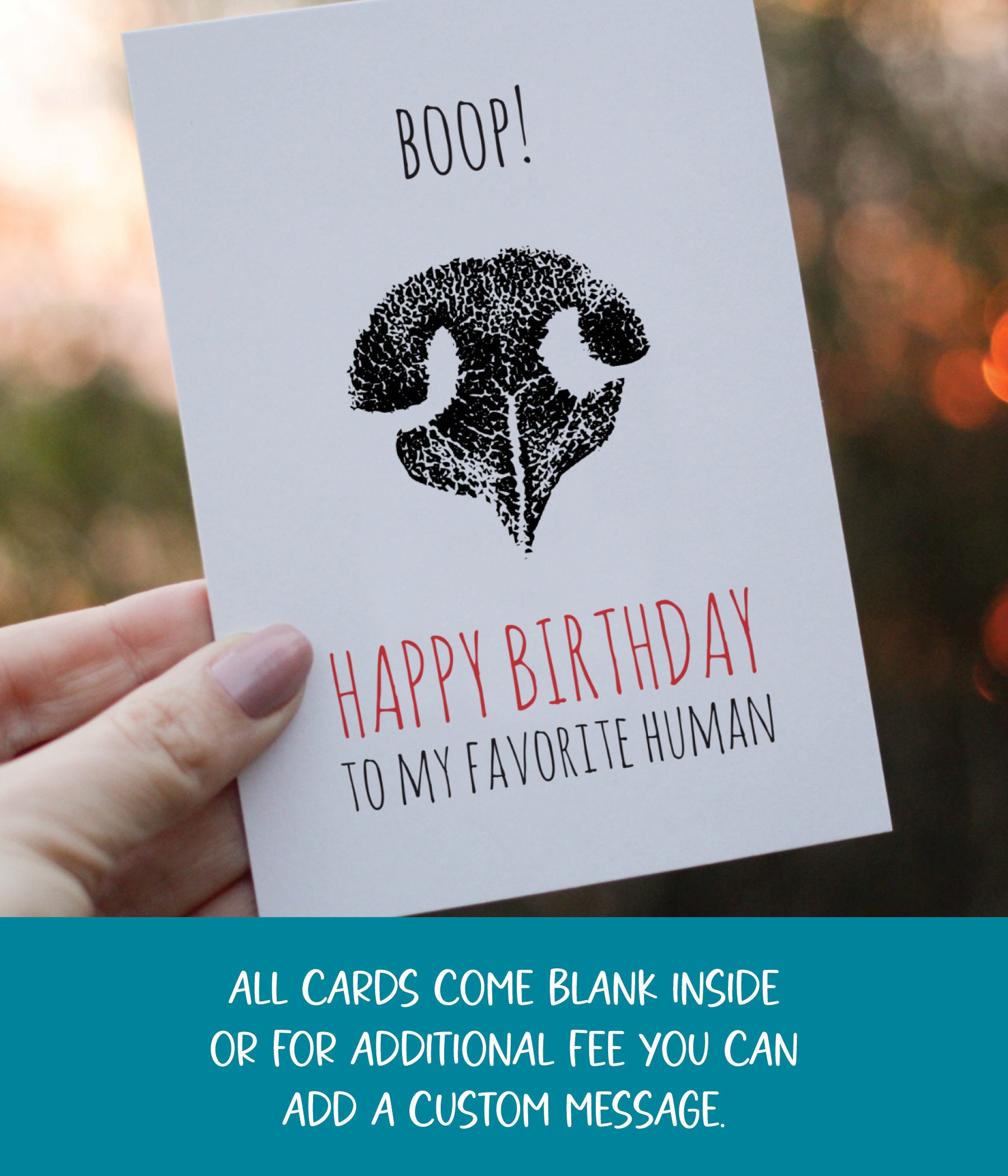 Boop! Happy Birthday to My Favorite Human | Birthday Card From the Dog ...