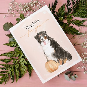 Thanksgiving Grußkarten, Niedliche Grußkarten, Berner Sennenhund Grußkarte, Berner Liebhaber, Hundeliebhaber, Hundekunst, Happy Thanksgiving