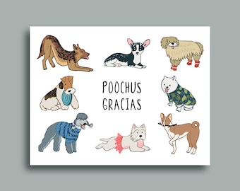 Poochus Gracias Thank You Card: Funny Dog Lover Greeting