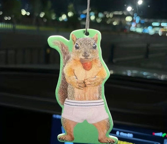 Accoutrements Squirrel in Underpants Deluxe Air Freshener (Pack of 2 Deluxe  Air Freshener) (Pack of 2)