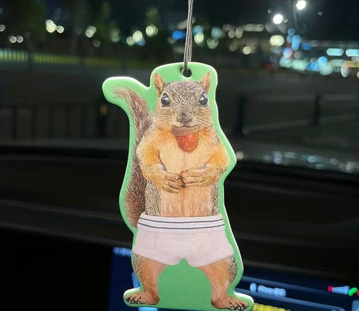 Cute Squirrel in Underpants Car Freshener Add a Playful Twist to Your  Drives 