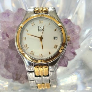 ESQ Esquire Swiss 6 Jewel Quartz Watch Two-tone Date  display picture 1