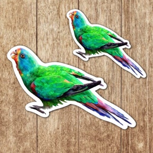 Cute Beautiful Swift Parrot Bird | Glossy Waterproof Vinyl Sticker