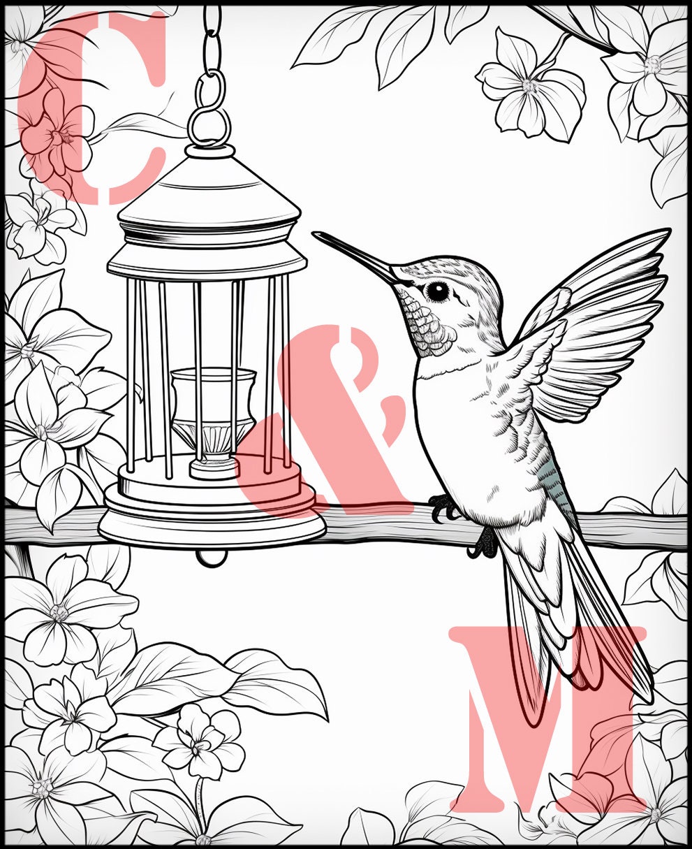 Birds of America Printable Coloring Pages of North American Birds ...