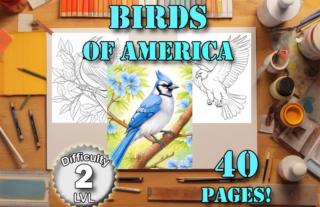 Birds of America Printable Coloring Pages of North American Birds ...