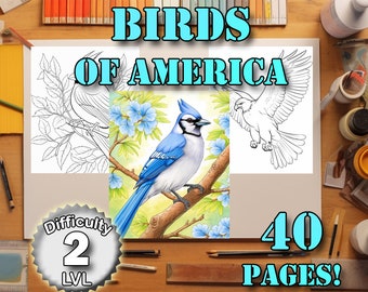 Birds of America Printable Coloring Pages of North American Birds Instant Download Black and White Adult Coloring Book