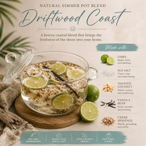 May include: A clear glass simmer pot filled with water, lime slices, coconut flakes, and a vanilla bean. The pot sits on a wooden coaster. Text reads "Driftwood Coast" and "Natural Simmer Pot Blend."