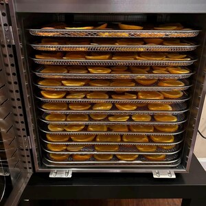 May include: A food dehydrator with multiple wire racks filled with sliced oranges. The open door reveals the drying process. The appliance is made of stainless steel. The image shows a method of preserving food, with the oranges arranged in rows.