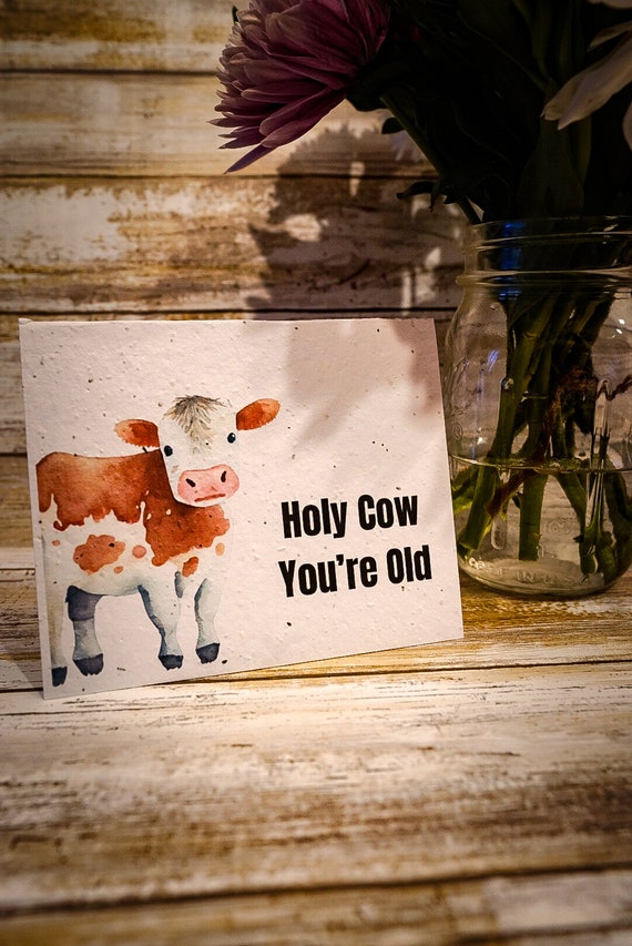 Plantable Birthday Card: Holy Cow, Wildflower Seed Paper - Etsy
