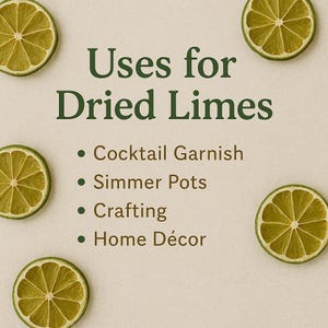 May include: Image showing the text "Uses for Dried Limes" with four uses: Cocktail Garnish, Simmer Pots, Crafting, and Home D&eacute;cor. Sliced dried limes are scattered around the text on a light beige background.