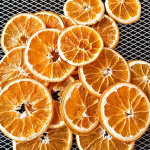 Pode incluir: Uma cole&ccedil;&atilde;o de fatias de laranja desidratadas dispostas em grupo. Cada fatia apresenta uma polpa laranja vibrante com um padr&atilde;o radial de segmentos vis&iacute;vel e uma casca fina de cor clara. A textura da fruta parece seca e firme.