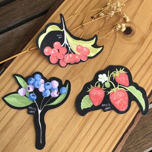 Naklejka winylowa Vintage Berry Bouquet