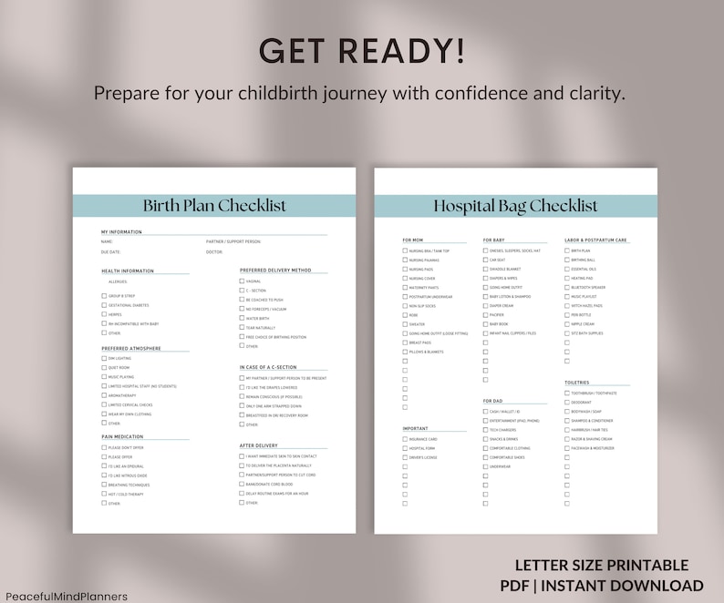 Pregnancy Checklist Bundle Printable, Pregnancy Planner, Pregnancy to ...