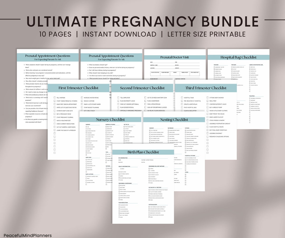 Pregnancy Checklist Bundle Printable, Pregnancy Planner, Expecting