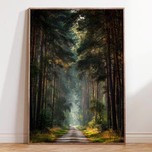 Puede incluir: Impresión enmarcada de un paisaje de carretera forestal. Altos y delgados árboles bordean la carretera, creando un efecto túnel. La luz del sol se filtra a través del dosel, iluminando el camino. La impresión tiene un marco de madera natural.