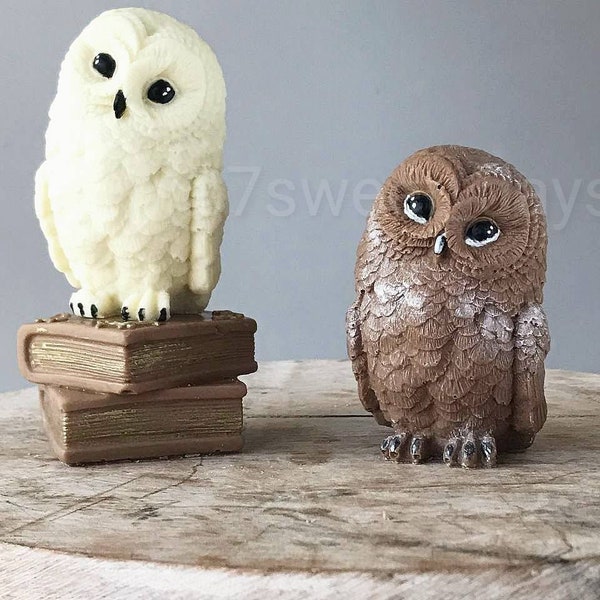 Magic Owl Chocolate Wizard Magic Cake Topper  Edible Decoration