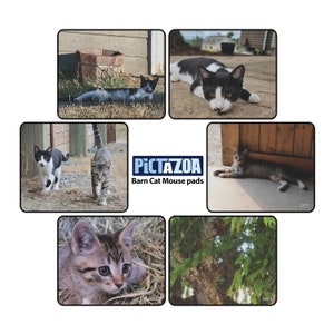 Barn Cat Mouse Pad, 6 Design Options, Domestic short hair, Human generated artwork and photography