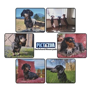 May include: A set of six dachshund mouse pads featuring different images of dachshunds in various poses and settings. The mouse pads are rectangular and have a black border. The text "Pictazoa Dachshund Mouse pads" is printed in white on a black background.
